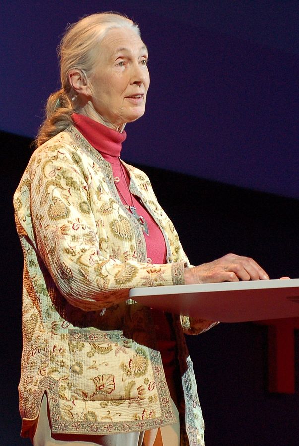 jane goodall